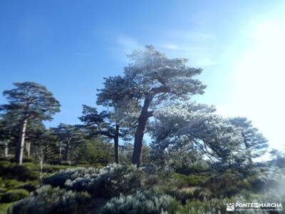 Peña Citores desde Puente de la Cantina, Camino Viejo de El Paular;berzosa de lozoya pradera de orde